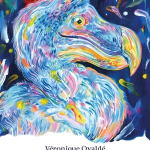 La nuit du dodo